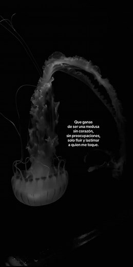 Mensaje de Medusa: Fluir sin Corazón
