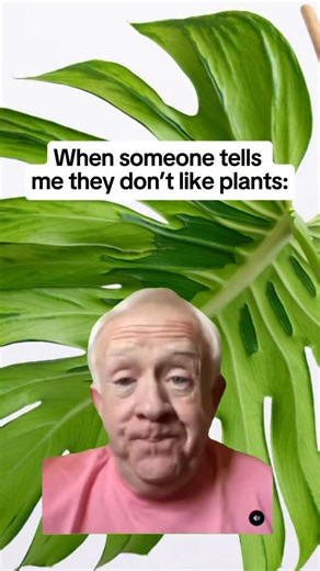 Looking for plant friends? 🪴You’re in the right place! Join our Rare Plant Fairyland community on Facebook to share tips, trade, ask questions, and widen your circle of plant besties! 🌱🧚‍♀️ #aroidsofinstagram #houseplantclub #plantmom #plantlover #plantdad #houseplantcommunity #plantfriends #plantcollector #friends #plantfriendsirl #plantsmakepeoplehappy | Rare Plant Fairy