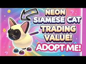 What People OFFER for Neon Siamese Cat in Adopt Me! #adoptme #neonsiamesecat
