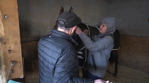 657K views · 12K reactions | The Kentucky Derby underdog this year is a bay horse from a small barn. The connections of three-year-old colt COAL BATTLE talk about the journey that will bring them to Churchill Downs on the first Saturday in May. | FanDuel Racing | Facebook