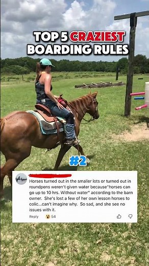 Top 5 craziest boarding rules…. #2… #horse #horseriding #horsetraining #horsecare #equestrian