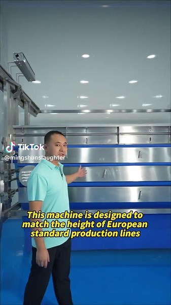 Complete Slaughter Line Solutions for Meat Processing