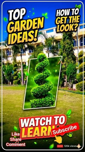 "How to make the Perfect Spiral plant "? #GardenHacks #Landscaping @naturalvibes0786