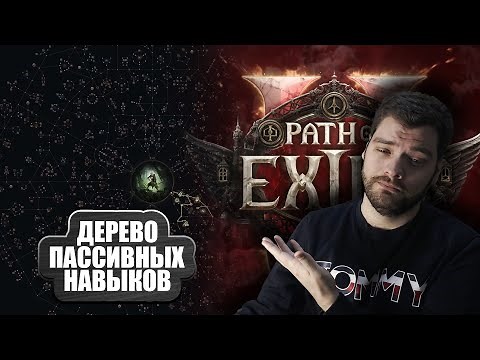Path of Exile 2 Beginner's Guide: Passive Skill Tree!