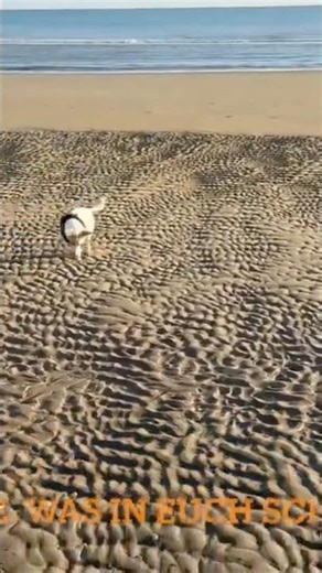 🥰 😍🇩🇪Cinematic Chill | Lakeside Serenity 🌊 Emotional World Story & Calm Ambient Vibes ✨