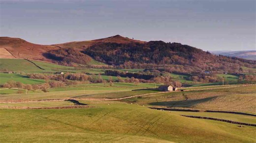 How rewilding can transform our national parks