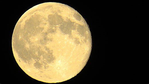 Beaver Moon 2025: When to see November’s full supermoon