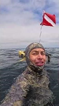 Spearfishing Northern California: HUGE Sheepshead!