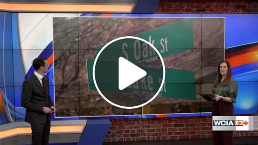 Man arrested for attempted murder after alleged attack against girlfriend in Moultrie Co - NewsBreak