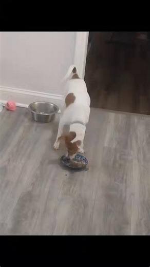 Stephanie Walker on Reels