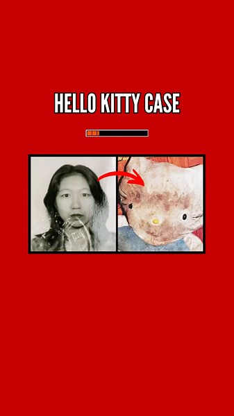Hello kitty case 🩸