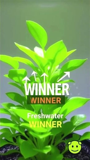 Saltwater vs Freshwater… One Plant Took a Sudden Turn 😳🌱