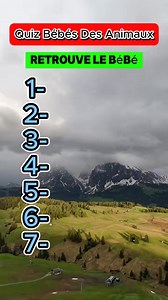 Labial,"Issu du latin "labialis", lui-même dérivé de "labium" signifiant "lèvre", ce mot est intimement lié à la morphologie et aux sons articulés avec les lèvres. Parmi ses synonymes, on trouve "buccal" ou "labialisé", tandis que ses antonymes incluent "lingual" ou "nasal", selon le contexte phonétique. Laissez un J'aime sur cette publication, abonnez-vous, et dites-moi en commentaire si vous connaissiez déjà ce mot ! #Dictionnaireapprofondi #élocution #motdujour #lexique #vocabulaire | Pensées