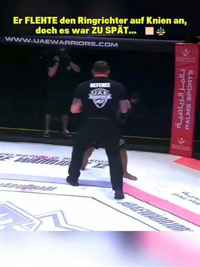 #highlight #DE #mma #ufc #boxing #knockout