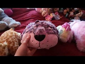 My Pillow Pet Collection (November 2025)
