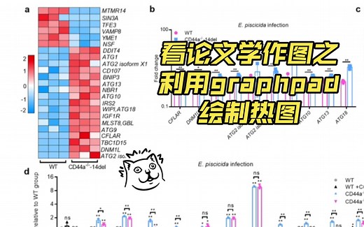 看论文学绘图之利用Graphpad绘制热图。