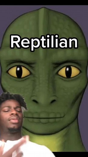 The Races 🦎🦁👽🛸🪐#greenscreen #fyp #foryou #alien #extraterrestrial #reptilian #spiritual #spirituality #woke #woketok #xyzbca