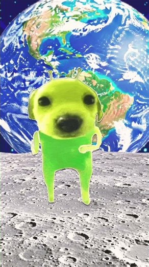 #filtro 1 alien dog 2 alien dog dance