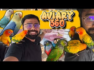 ₹1000 முதல் Hand Feeding and Tamed Birds | Aviary 360 | Delivery Available