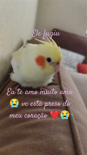 14 de março de 2026