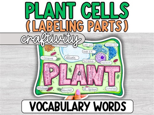 Plant Cell Labeling Project, Diagram Activity, Craftivity, Middle School, Science Classroom, Plant Cell Anatomy, 6th Grade - Etsy