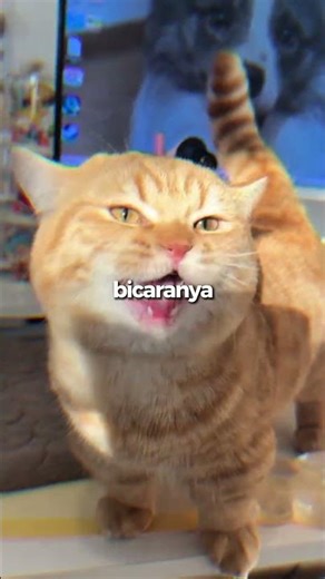 Cats can make 100 different sounds