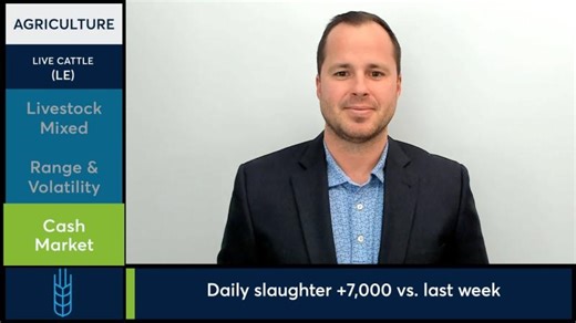 Live Cattle futures trade mixed as volatility subsides. 3/24/26 | Blue Line Futures