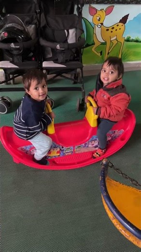 19-Month-Old Twin Daughters Playing Seesaw | Cutest Twin Moment Ever 💕
