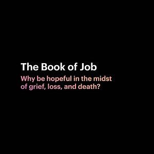 What do we need to remember in the midst of our suffering? In the book of Job, God challenges Job to expand his perspective. In this week’s Reflections Bible Study, we learn that we can’t shrink God to fit our limited understanding, but we can trust him to care for us. Subscribe to the Wisdom series here: https://tbp.xyz/wisdomseries1 | BibleProject
