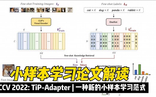 【ECCV 2022】小样本学习论文解读 | Tip-Adapter: Training-free Adaption of CLIP for ...