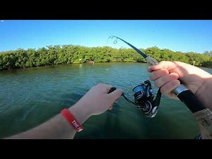 Sarasota Bay Fishing