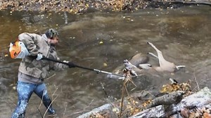 Watch: Man uses tree saw to free stuck bucks