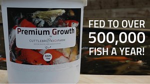 7.2K views · 24 reactions | An insight into the Koi Food fed by the...