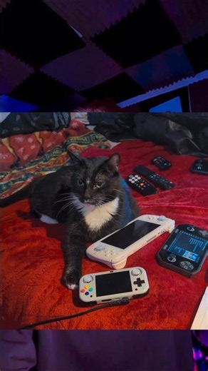 My Top 5 Retro Handhelds #retrogaming