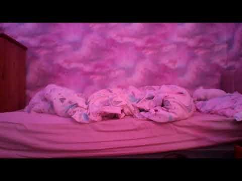 snap back to reality, oh there goes gravity! (full song)