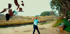 'Birdemic 3': The Sea Eagles Are Coming For You