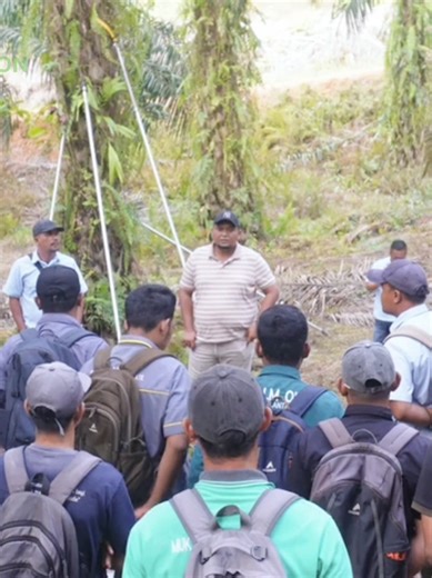 Simulasi Progressive Pruning dan Teknis Potong Buah merupakan kegiatan pembelajaran praktik di lapangan yang bertujuan untuk meningkatkan keterampilan pekerja atau peserta pelatihan dalam melakukan pemanenan kelapa sawit secara efektif, efisien, dan sesuai standar operasional. Pemateri : Area Manager Melawi Bapak Rudolf Olto Sihombing Estate Manager KMA-3 Bapak Grasian Silalahi Peserta: All Staf dan Supervisi #MuktiPlantationGroup #MuktiLearningCenter #AdauHijauLestari #BumiSawitUtama #Adauagrok