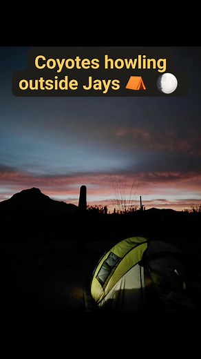 #howling #coyote | Mom and Me Makeup and More