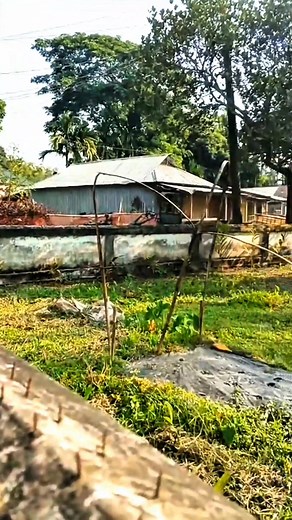 1.9M views · 150K reactions | #highlight #follower #hashtag | M Bokul Mia | Facebook