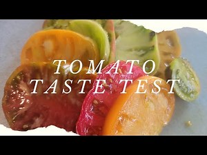 Tomato Taste Test | 13 Heirloom Tomatoes | Part 1