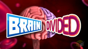 Brain Divided