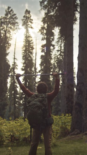 10M views · 10K reactions | The Sun always rises in the east but you never know from where Googlies might arise  Presenting #GoogliesOnGoogle. Type 'Googlies' in the search bar and aapko pata chalega simple questions ke surprising answers. #DhoondogeTohJaanoge | Google | Facebook