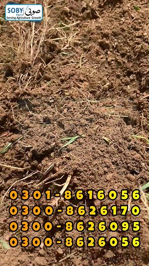 2.5K views · 16 reactions | Rotawetar Machine Iروٹا ویٹر مشین I...