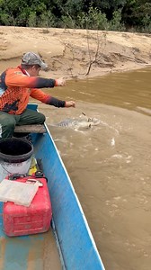 553K views · 10K reactions | Amigos mi hermano sacó un bagre de 10 kilos con una línea de mano ! Usando lombriz de carnada . Yo creo que el bagre tenía como 13 kilos , ustedes qué opinan? | Amigos de la Pesca. | Facebook
