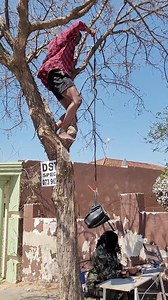 7K views · 31 reactions | missing money 藍✊欄 | Boilling Point | Facebook