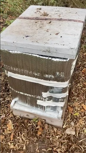 Winterizing the Beehive! #honeybee #bees #beekeeping #winter #cool #fyp #yt #ytshorts #interesting