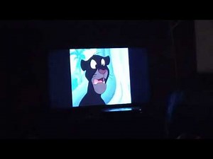 Jungle cubs. mundo mungo 2010 version