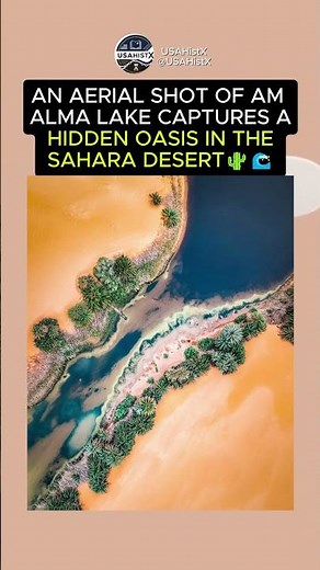 Aerial View Reveals Hidden Oasis in the Sahara 😳🌊 #didyouknow