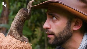 Meet B-Rad...the cutest baby Sloth in the WORLD! 😍😍 Credit: Coyote Peterson | Cuteness overload