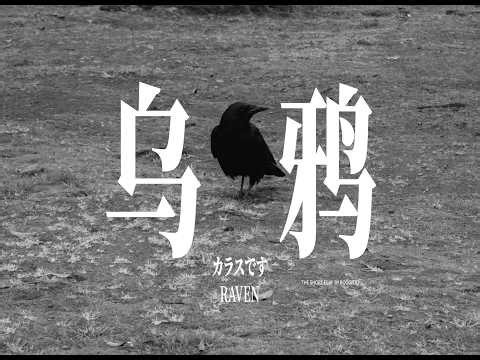 Raven烏鴉